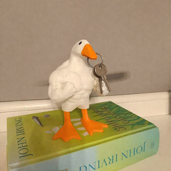 PREORDER: Goose on the Loose  4.20.26 osym - Pumpkin Patch Co