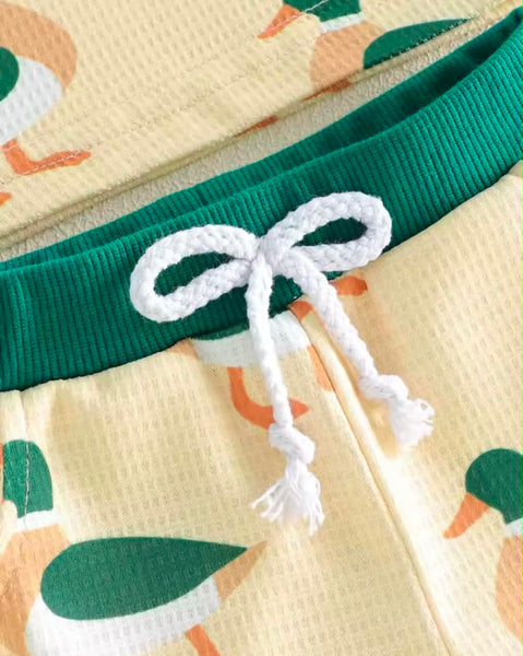 PREORDER: Mallard Duck set  5.18.26 - Pumpkin Patch Co