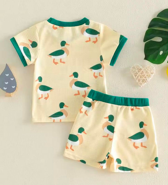 PREORDER: Mallard Duck set  5.18.26 - Pumpkin Patch Co