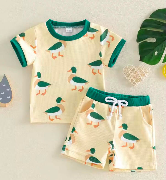 PREORDER: Mallard Duck set  5.18.26 - Pumpkin Patch Co